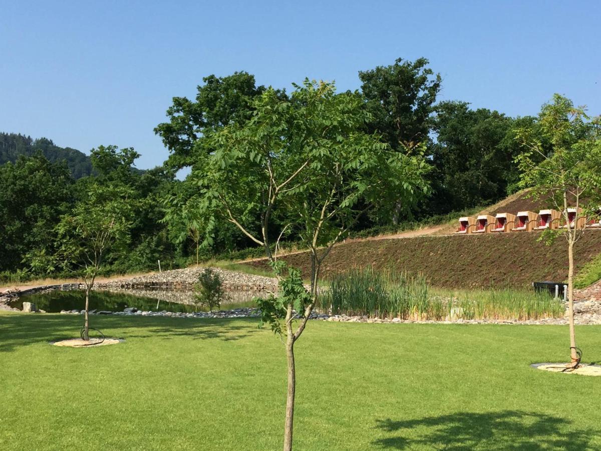 Moselstern Parkhotel Kraehennest Löf Zewnętrze zdjęcie